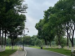 -东湖落雁景区
