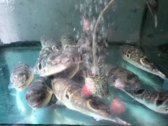 -苏州人家(锦溪镇店)