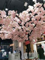 -简影造型·自选烫染接发salon