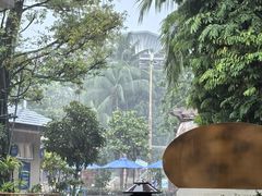 -新加坡水上探险乐园