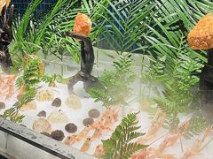-Mr.Fish鱼鲜生海鲜放题(高德置地冬广场店)