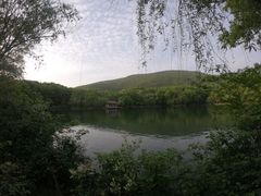 -紫霞湖公园
