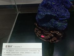 -中国第四纪冰川遗迹陈列馆