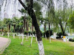 -后襄河公园