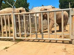 -石家庄市动物园