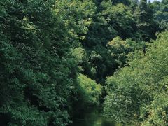 -秦岭终南山世界地质公园翠华山景区