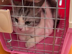 -艾贝尔宠物医院·宠保定点·超声绝育·免疫点(樱花路店)