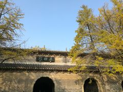 -灵谷景区