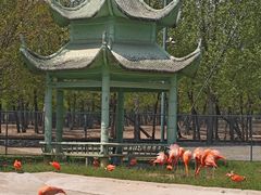 -秦皇岛野生动物园