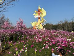 -云幽谷旅游区