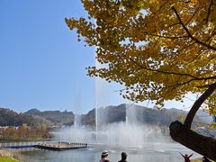 -千年银杏谷文化旅游区