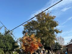 -HERRE·FARM 赫尔露营农场·团建聚会包场