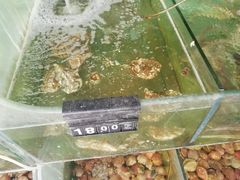 -四海鲜渔家菜(黄金海岸店)
