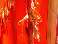 -鑫日千里马朝鲜族小馆(总店)