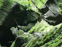 -梭布垭石林景区