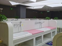 -沥鲨亲子游泳俱乐部(金沙洲中心)