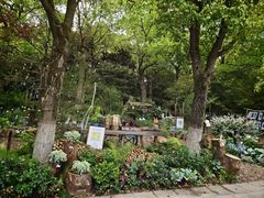 -上海鲜花港