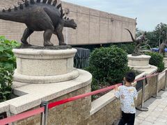 -自贡恐龙博物馆