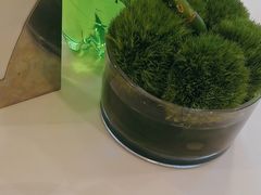 -眉州东坡(博雅店)