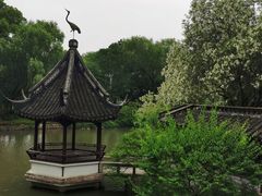 -上海醉白池公园
