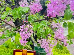 -西安市广仁寺