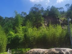 -神光山国家森林公园