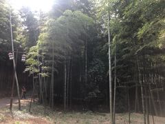 -苏州环秀晓筑养生度假村