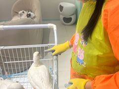 -怪兽屋·羊驼·猫咖·狗咖(俊华广场店)