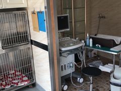 -安安宠医·安宠宠物医院