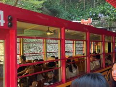-岚山嵯峨野观光小火车