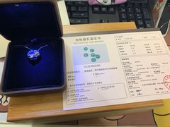 -彩虹桥宠物火化殡葬善终服务(金乐大厦店)
