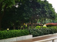 -上海世纪汇广场