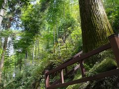 -东天目山风景区