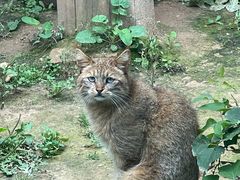 -青藏高原野生动物园