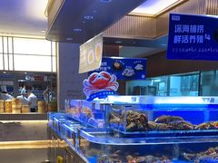 -同庆楼(天鹅酒家店)