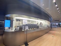 -introlemons(北京西单更新场店)
