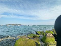 -海源公园