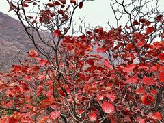 -水峪民俗村