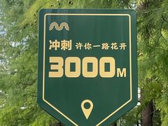 -昆山城市生态森林公园