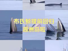 -涠洲岛南湾海洋运动公园