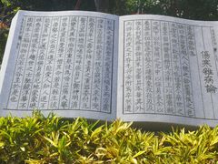 -广东中医药博物馆