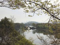-上海市保健医疗中心(华东疗养院)