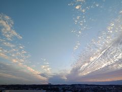 -西郊国际农产品交易中心