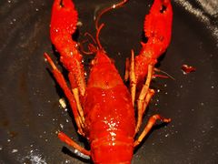 -红盔甲·小龙虾(长寿路店)