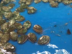 -万宝海鲜舫(劳动公园店)