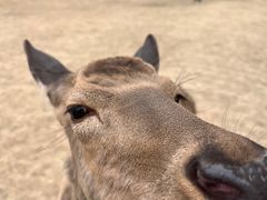 -野鸭湖国家湿地公园
