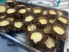 -北方饺子王·海肠捞饭·海鲜锅(山大店)
