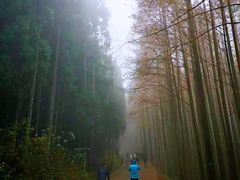 -山王坪喀斯特国家生态公园