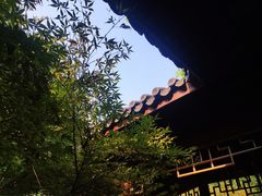 -十八棵（老龙井）御茶园(老龙井店)