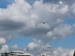 -碧海金沙